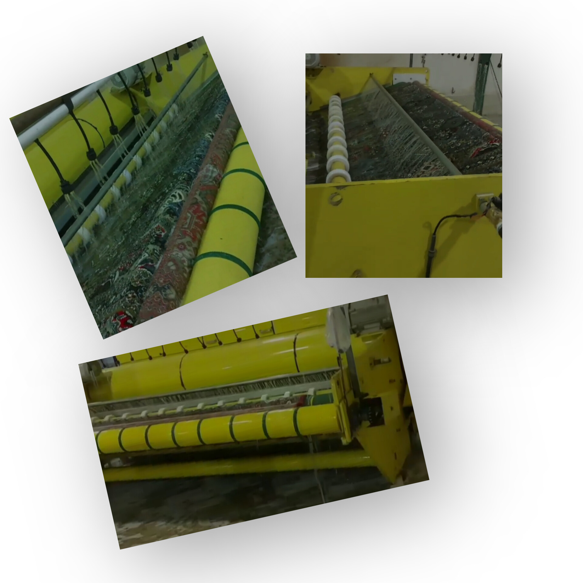 قالیشویی آزادگان