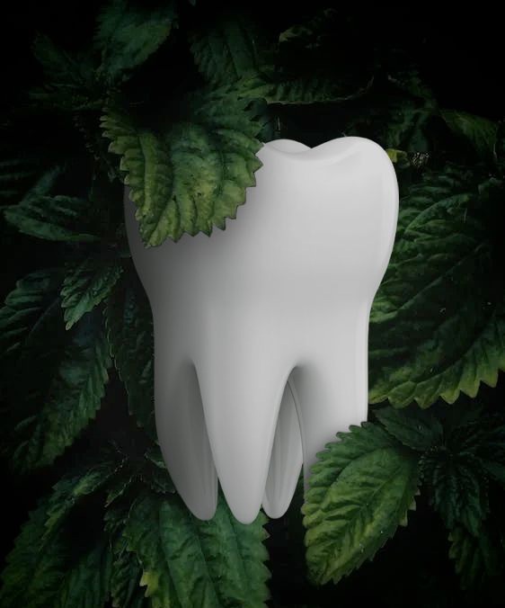 بهترین دندانپزشک نجف آباد