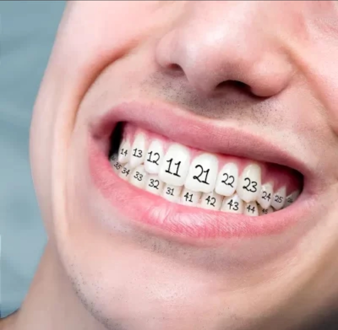 بهترین دندانپزشک نجف آباد