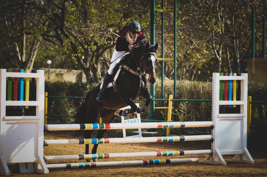 باشگاه سوارکاری کرج