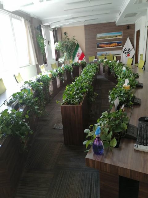 محوطه سازى ادارات در تهران