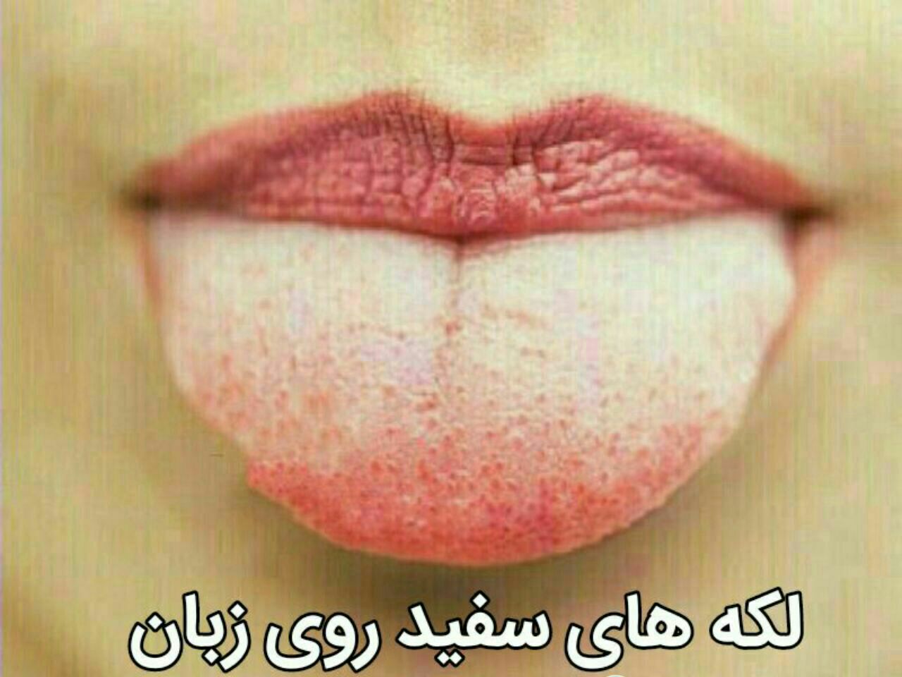 خدمات پرستاری در شیراز