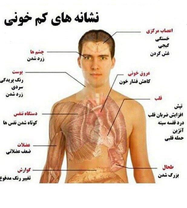 اجاره تجهیزات پزشکی در شیراز 