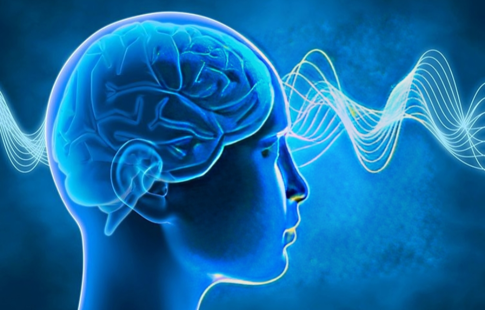 اجاره تجهیزات پزشکی در شیراز