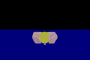 مربى شنا در كرج 