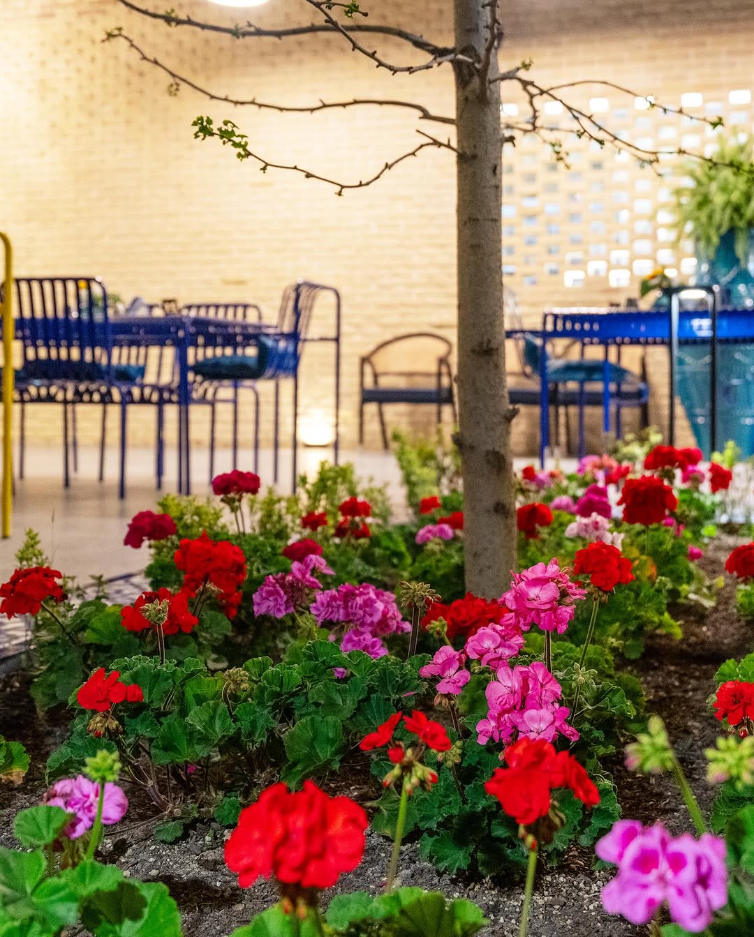 شیک ترین رستوران جاده دریا ساری