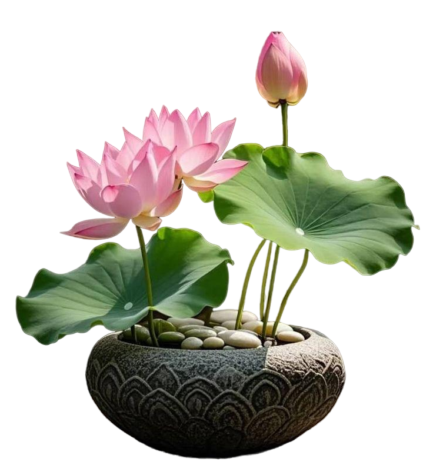 تولید گلدان در مازندران