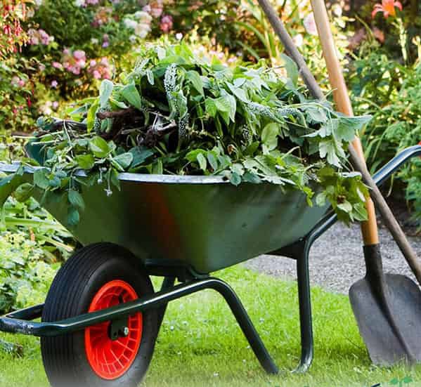 باغبانی در منزل تهران