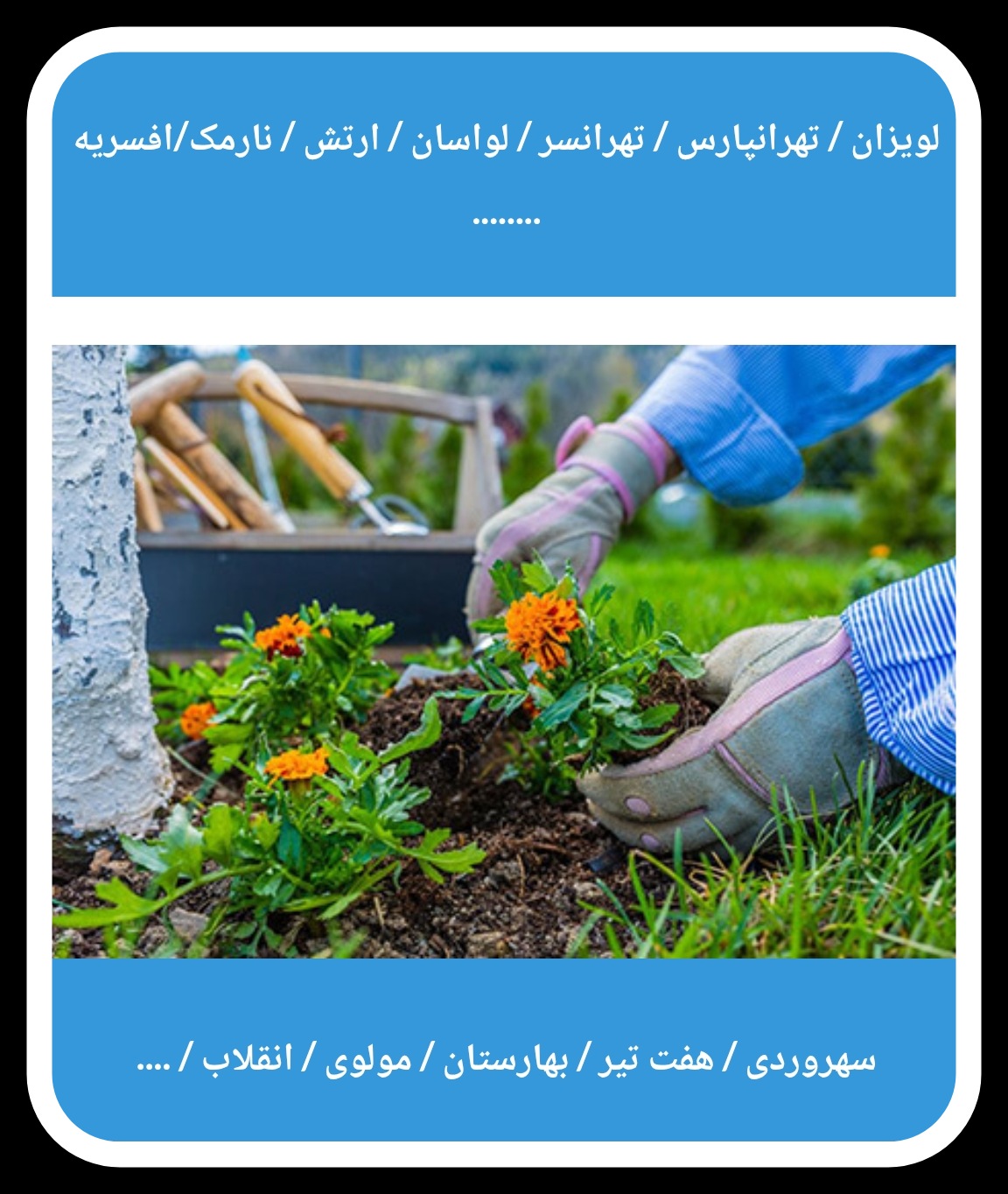 خدمات باغبانی در تهران