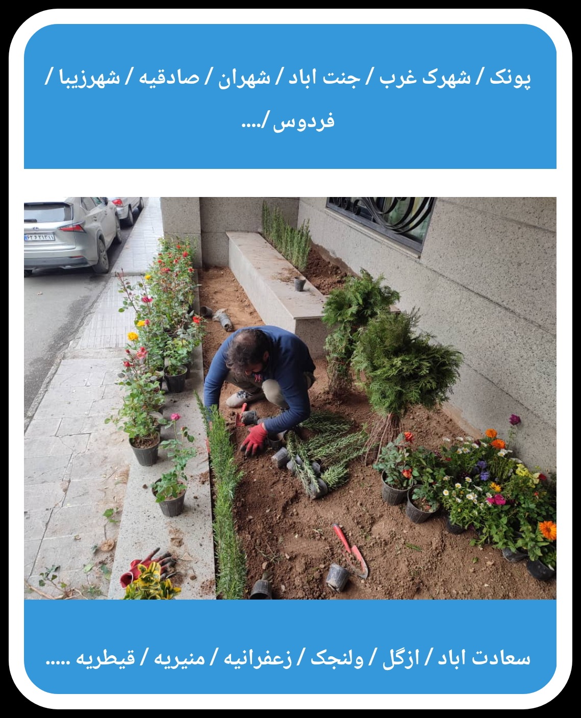 خدمات باغبانی در تهران