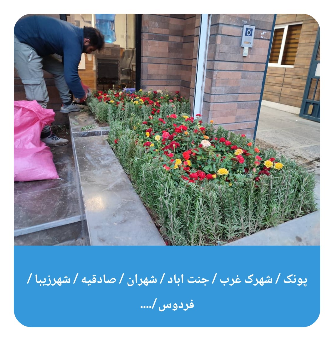 خدمات باغبانی در تهران