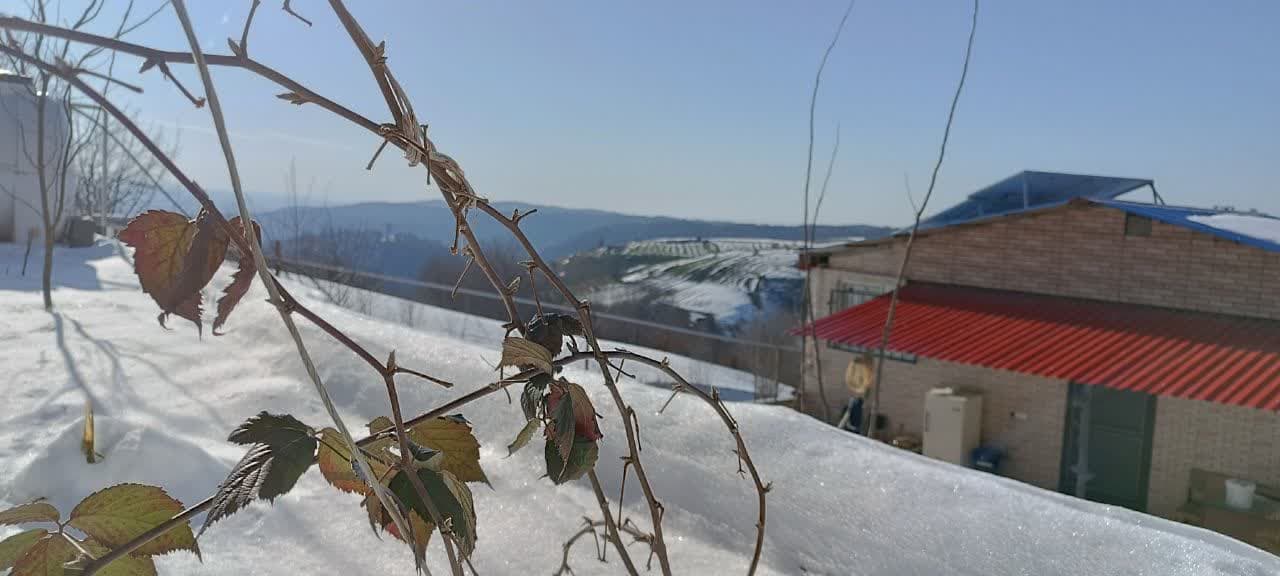 اقامتگاه گردشگری در بهشهر