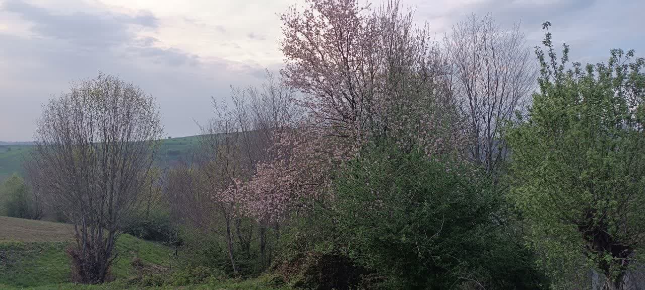 اقامتگاه گردشگری در بهشهر