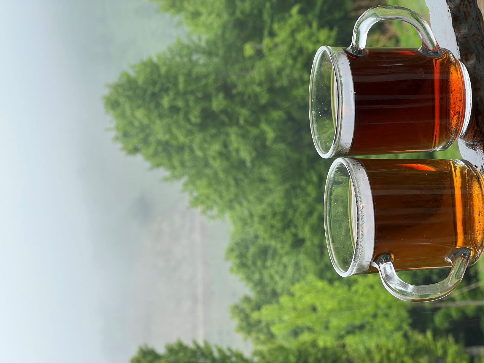 اقامتگاه گردشگری در بهشهر