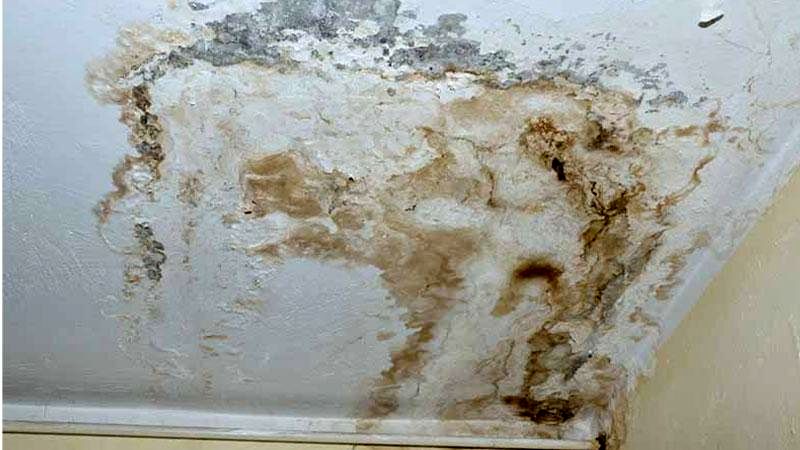 نشت لوله آب