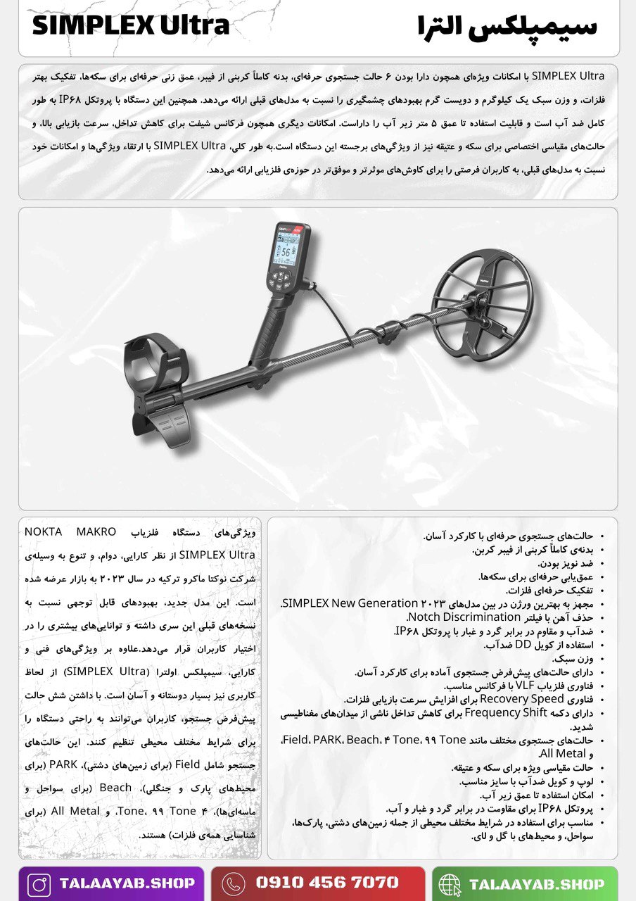 فلزیاب حرفه‌ای