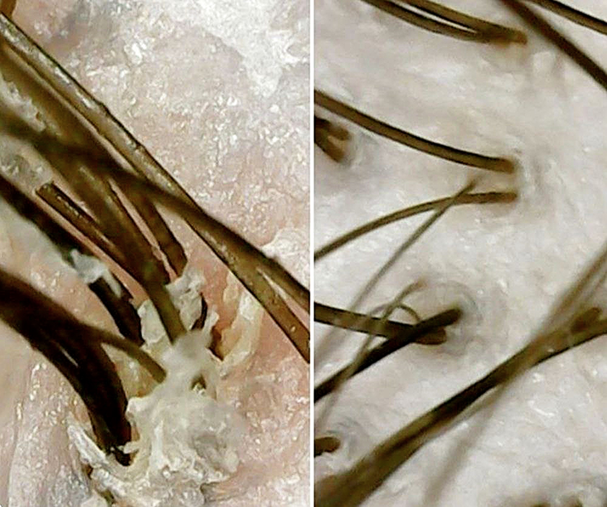 سالن زیبایی حسینی