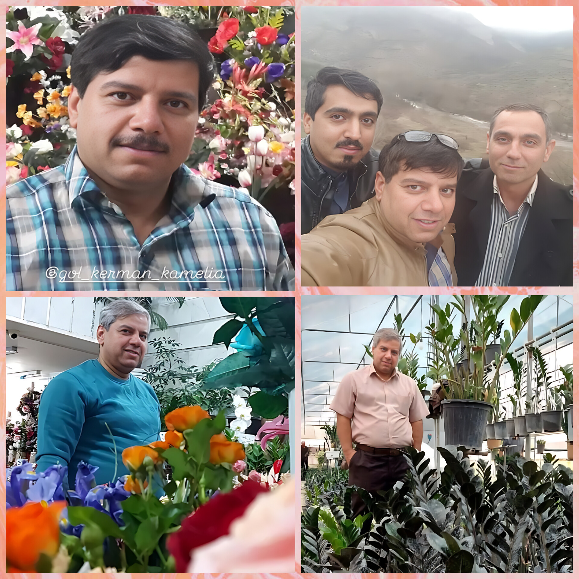 بهترین گل فروشی کرمان  تالار گل کاملیا