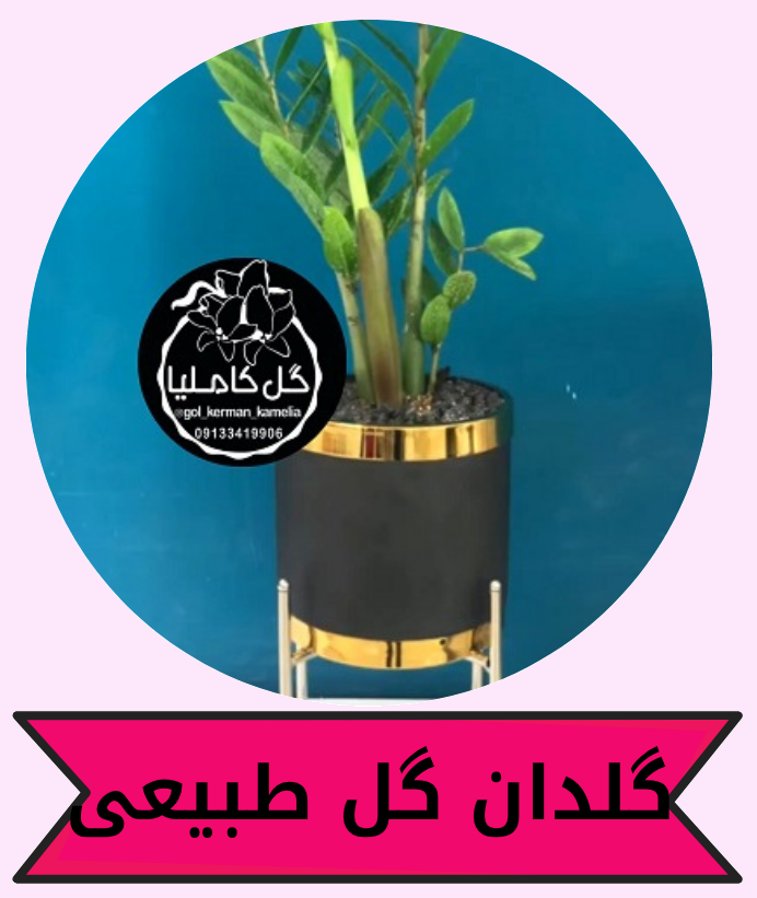 بهترین گل فروشی کرمان 