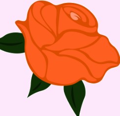 بهترین گل فروشی کرمان 