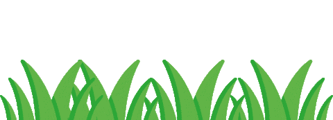 چمن طبیعی در اصفهان