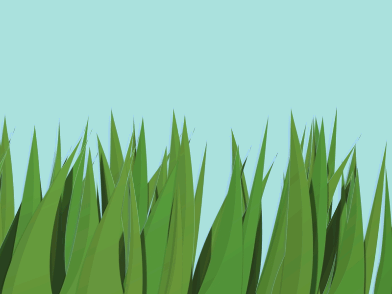 چمن طبیعی در اصفهان