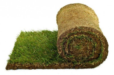 چمن طبیعی در اصفهان