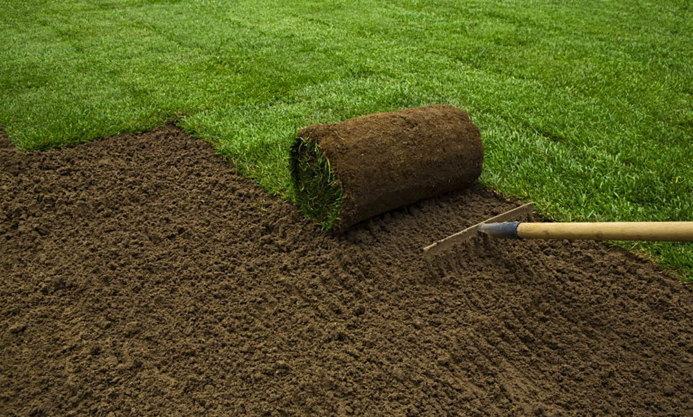 چمن طبیعی در اصفهان