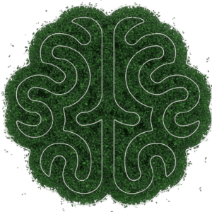 پروژه Braintest، پلتفرم هوش مصنوعی با همراهی متخصصان روان‌شناسی و فعالیت در استان البرز