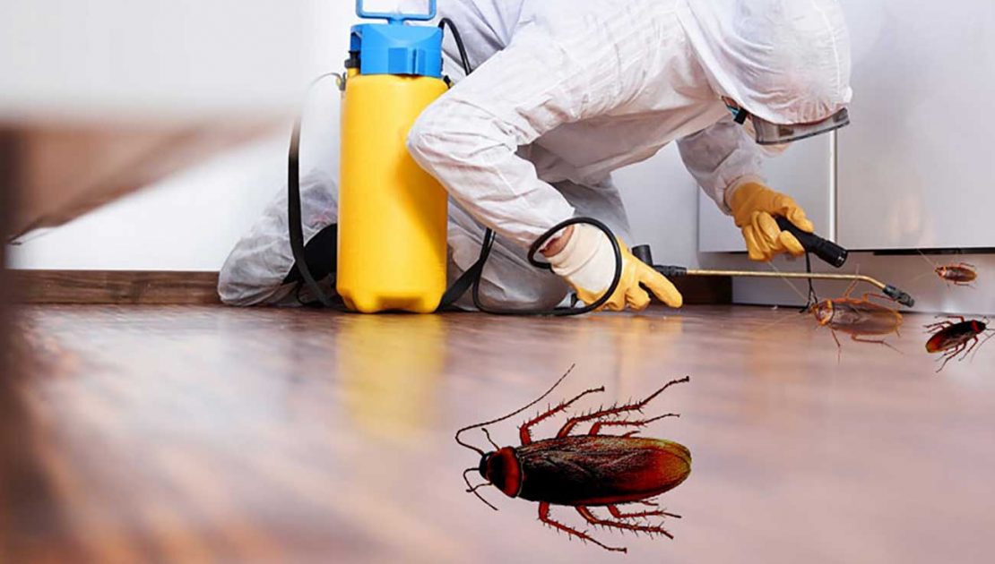 راحتسرای مهر آریا