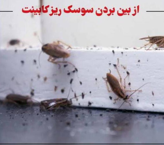 راحتسرای مهر آریا