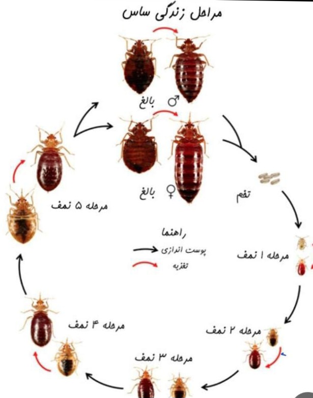راحتسرای مهر آریا