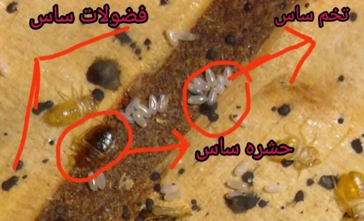 راحتسرای مهر آریا