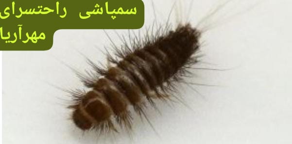 راحتسرای مهر آریا