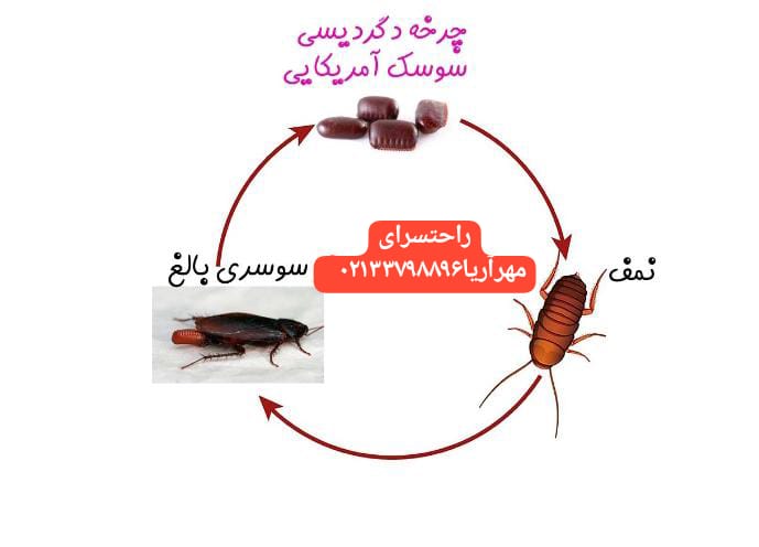 راحتسرای مهر آریا