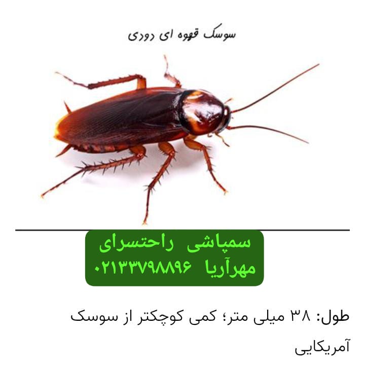 راحتسرای مهر آریا