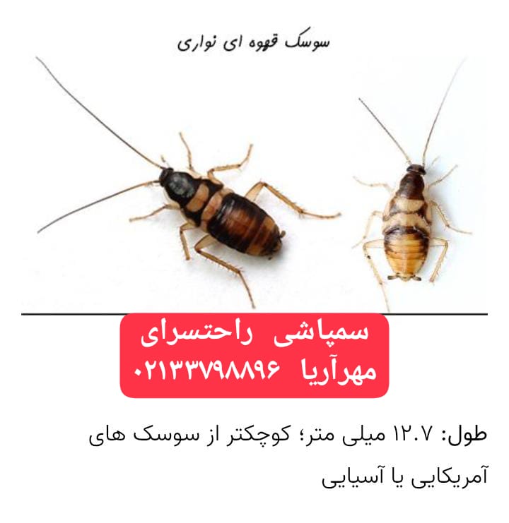 راحتسرای مهر آریا