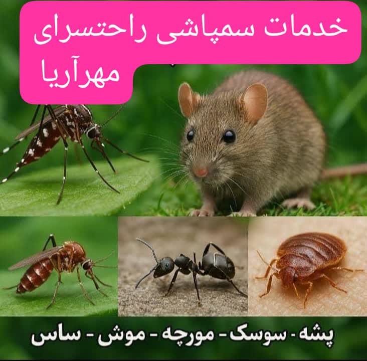 راحتسرای مهر آریا