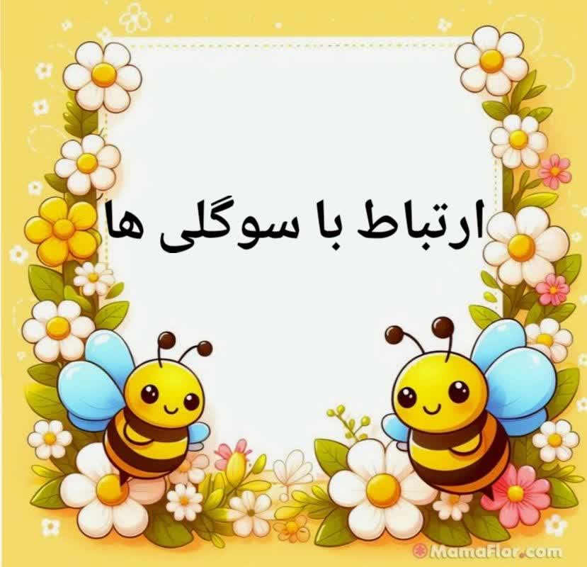 گیفت مهدکودک و مدارس