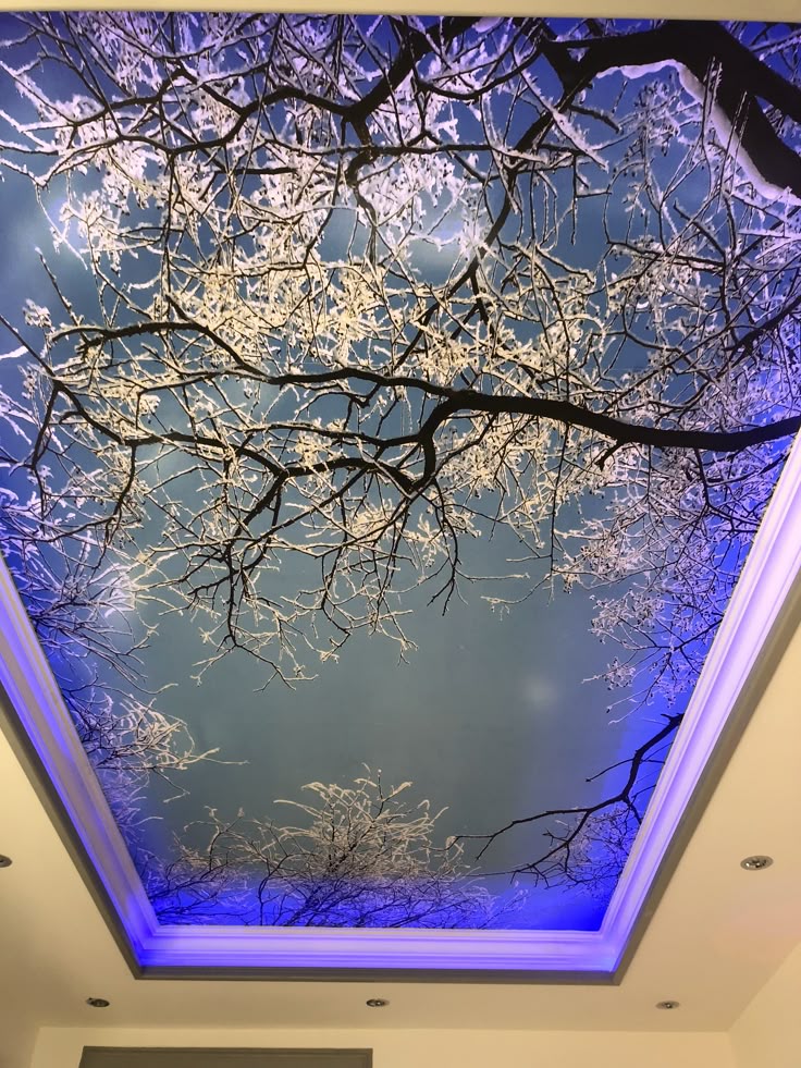 سقف کشسان در کرمان