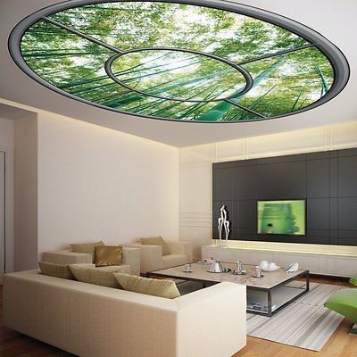 سقف کشسان در کرمان