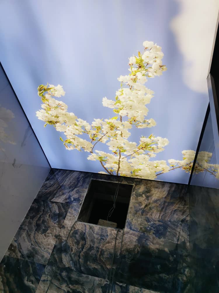 سقف کشسان در کرمان