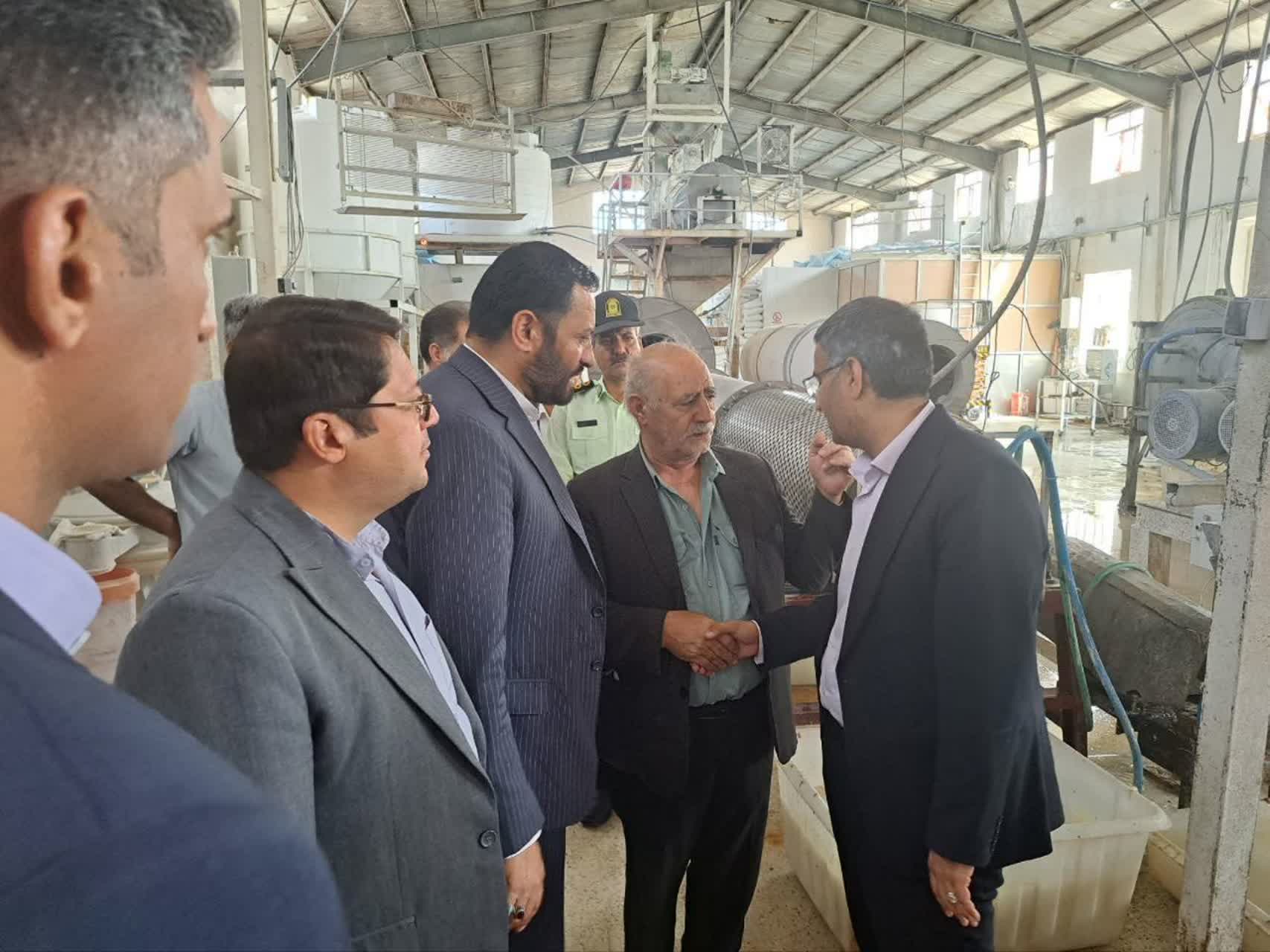 کارخانه تولید نشاسته و گلوتن هدیه ندوشن