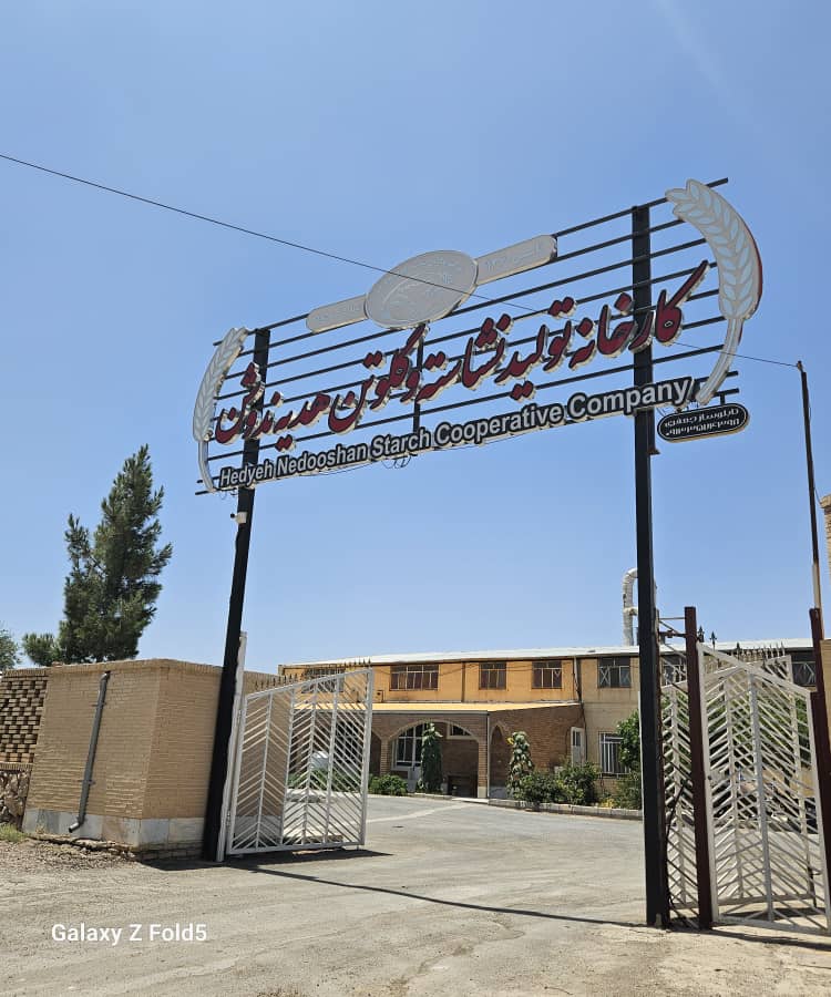 کارخانه تولید نشاسته و گلوتن هدیه ندوشن
