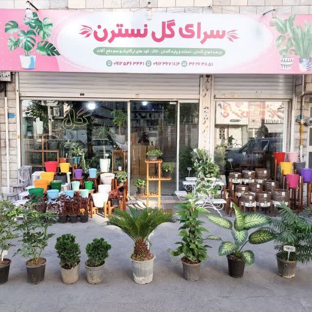 سرای گل نسترن