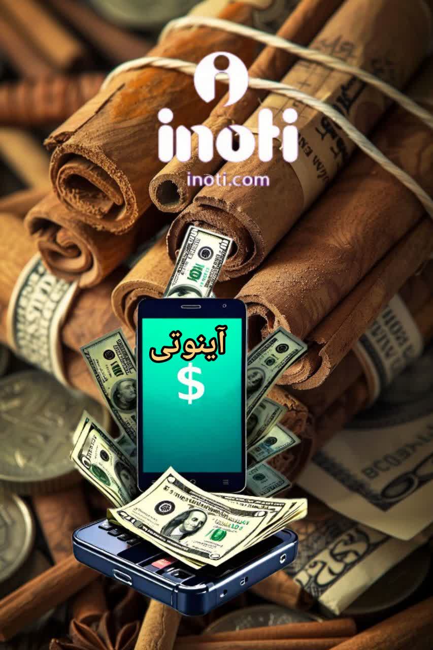 زهرا محمدی مشاوره و کارشناس کسب و کار شرکت آینوتی