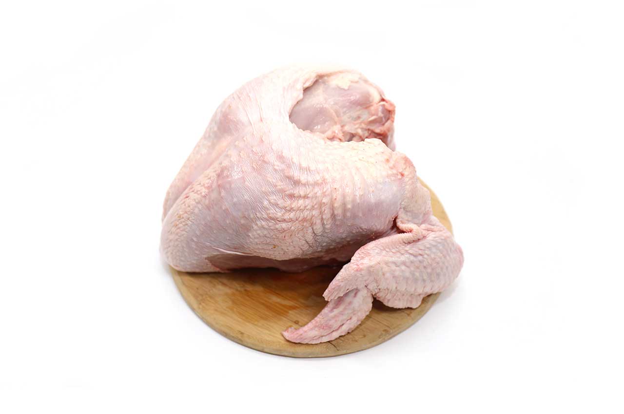 سینه بوقلمون