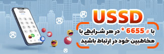بهترین طراح سایت در زرین شهر 