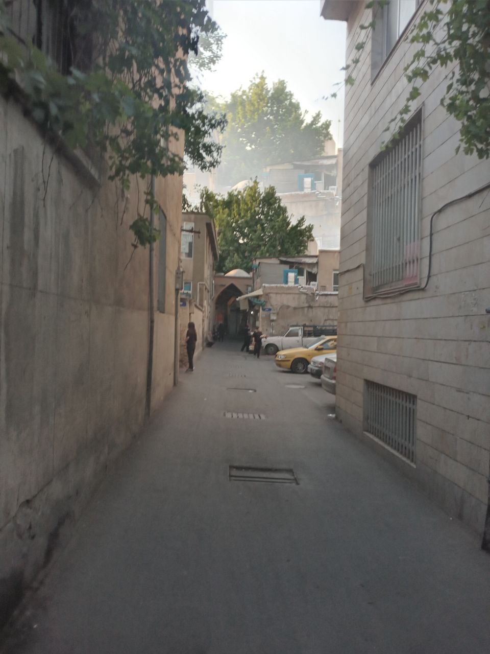 عکاس طبیعت 