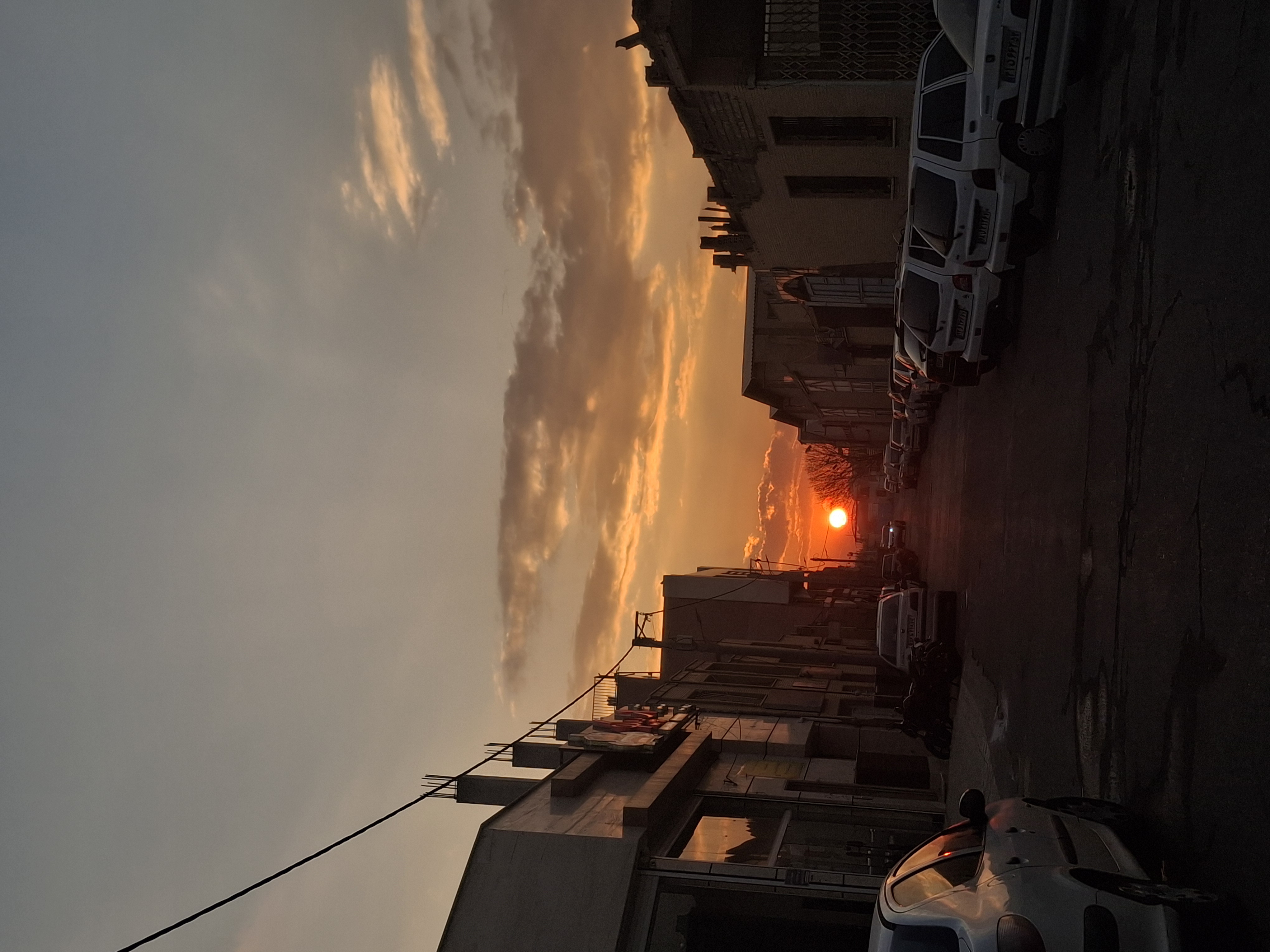 عکاس طبیعت 